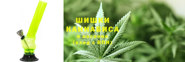 амф Алзамай